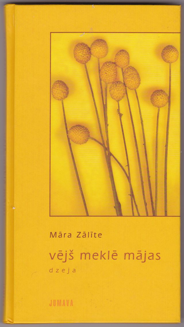 Image for Vejs Mekle Majas Dzeja