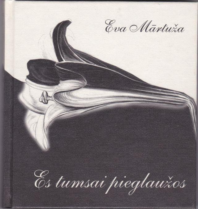 Image for Es Tumsai Pieglauzos