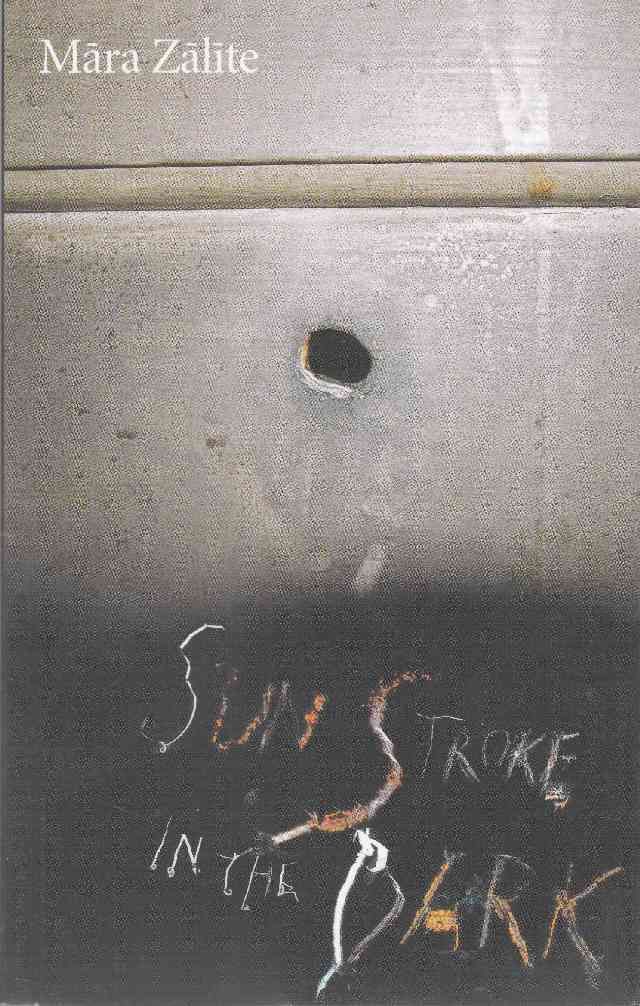 Image for Sun Stroke in the Dark