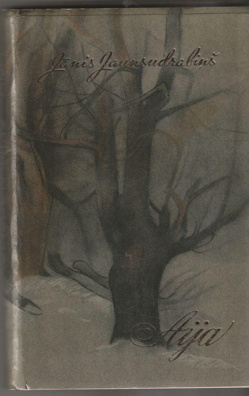 Image for Aija  Trilogija